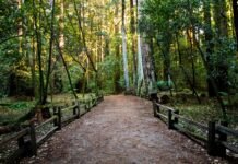 Mooie wandelroutes in Gelderland wandelroutes